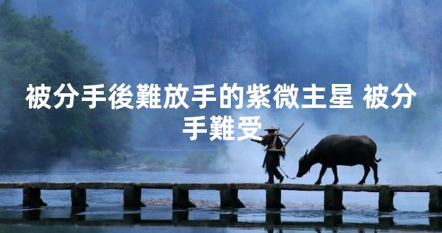 被分手後難放手的紫微主星 被分手難受
